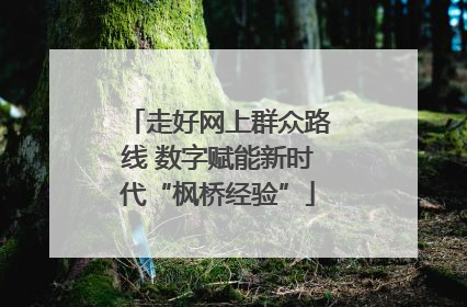 走好网上群众路线 数字赋能新时代“枫桥经验”